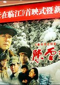 陈云在临江 海报