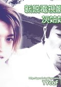 灰姑娘之梦 海报