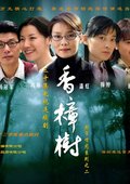 香樟树 海报
