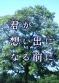 在你成为回忆之前