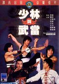 少林与武当 海报
