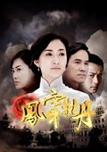 凤穿牡丹 海报