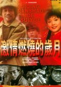 激情燃烧的岁月 海报