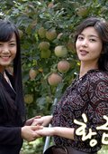 黄金苹果 海报