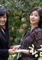 黄金苹果