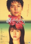 泪光闪闪 海报
