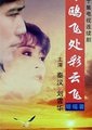 海鸥飞处彩云飞海报