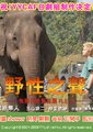 野性之声