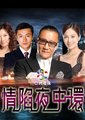 ATV情陷夜中环海报