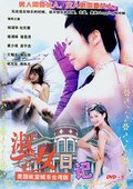 淑女日记 海报