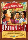 姨妈的后现代生活 海报