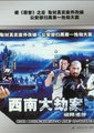 西南大劫案海报