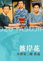 彼岸花海报