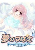 梦之翼 海报