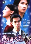 再见萤火虫 海报