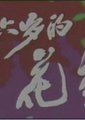 十六岁的花季