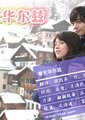 春天华尔兹海报