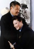 刘老根 海报