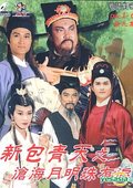 新包青天之沧海月明珠有泪 海报