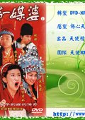 天下第一媒婆 海报