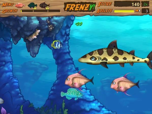 吞食鱼2:海难大决战图片_吞食鱼2:海难大决战_社会热点图片 NIBAKU.com