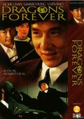 飞龙猛将 海报