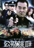 公然挑衅 海报