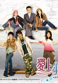 爱上小男人 海报