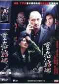 重症婚姻 海报
