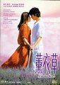 薰衣草海报