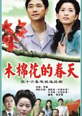 木棉花的春天 海报