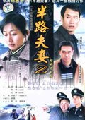 半路夫妻II 海报